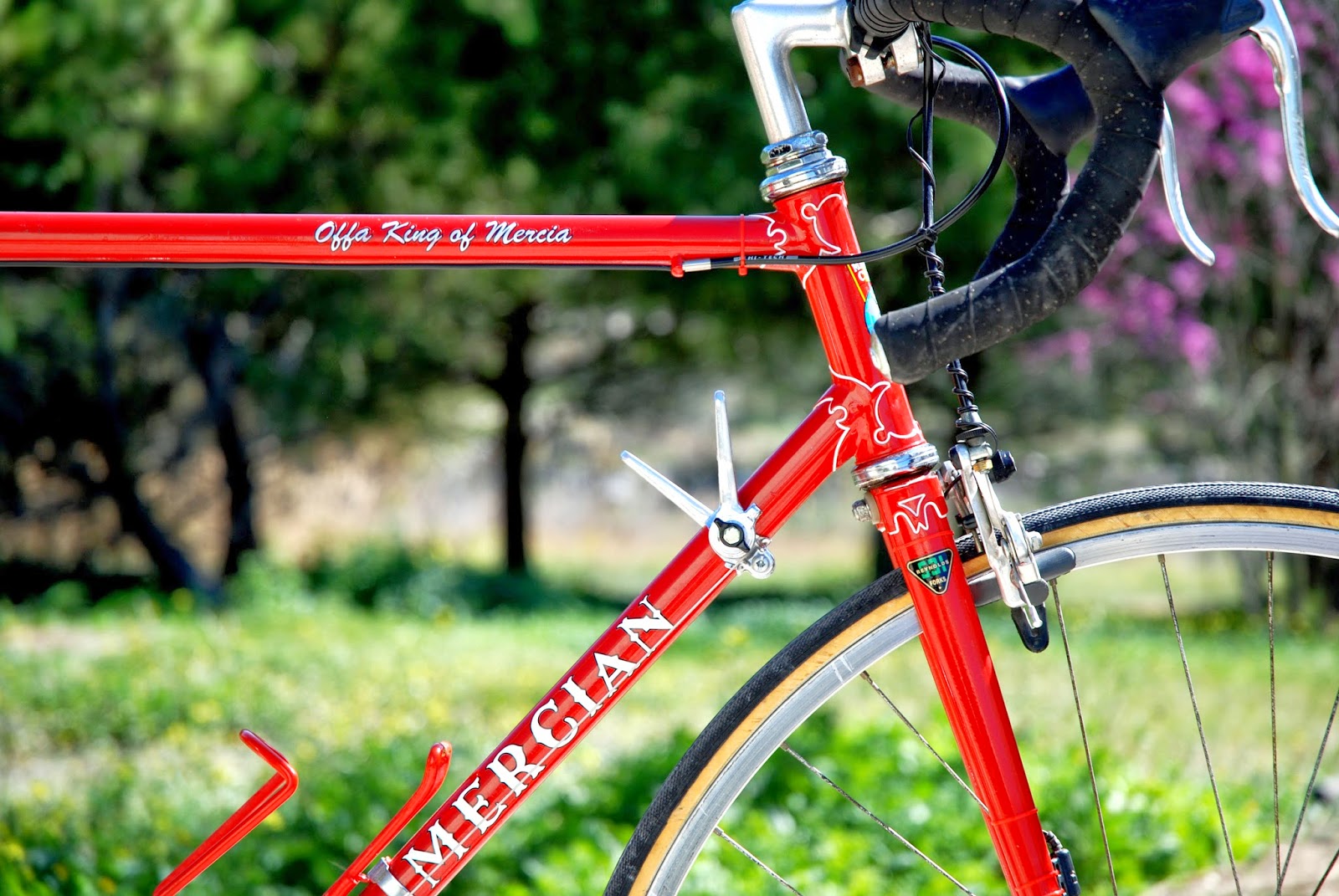 size bicycle frame of Mercia  Davids Mercian  King